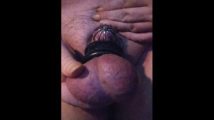 Caged Gay Chub with Stretched Balls Leaking Precum Closeup